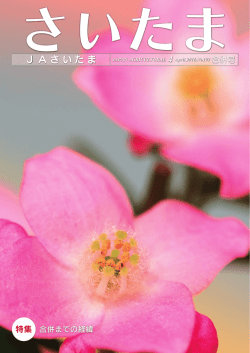 No.193 合併号