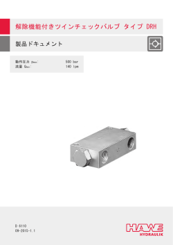 解除機能付きツインチェックバルブ タイプ DRH