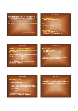 1 3次元情報を用いたシネMR画像による 自動輪郭検出の左心室定量解析