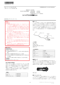 スパイグラス内視鏡セット - Boston Scientific
