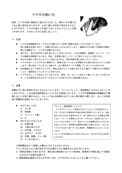 ウサギのリーフレット