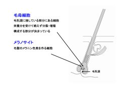 参考PDFはコチラ