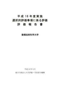 選択的評価事項に係る評価報告書（PDFファイル