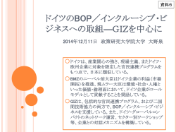 資料6 ドイツのBOP／インクルーシブ・ビジネスへの取組（PDF：237KB）