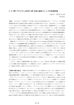 2.12 FMO プログラム ABINIT