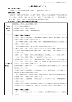 （1）成長戦略プロジェクト