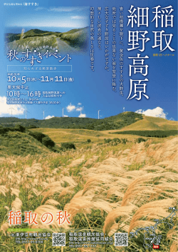稲取の秋