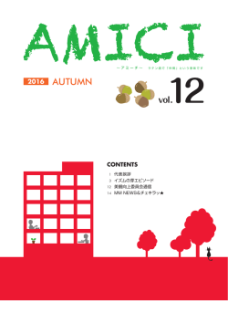 AMICI Vol.12 - エムエムインターナショナル