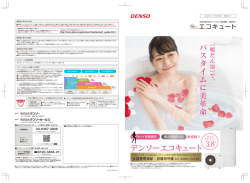 PDFダウンロード