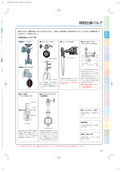 特別仕様バルブ