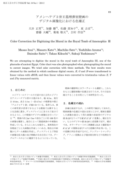 アメンヘテプ3世王墓埋葬室壁画の デジタル画像化
