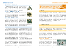 南芦屋浜周辺に飛来する野鳥調査（PDF：3991KB）