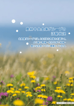 農林中央金庫グループの活動状況（3.19MB）