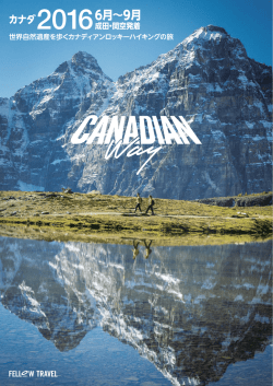 電子パンフレット - フェロートラベル