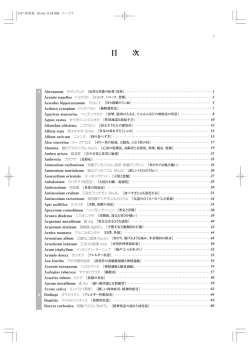目次PDF