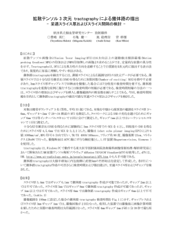 拡散テンソル 3 次元 tractography による錐体路の描出