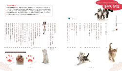 次 Contents