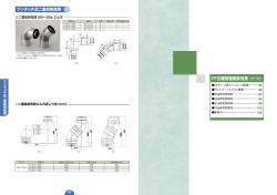 FF式暖房機用排気筒