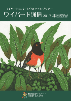 ワイバード通信