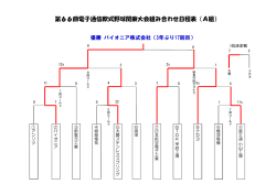 第66回電子通信軟式野球関東大会組み合わせ日程表（A組）
