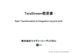 TeraStream概要書 - YDC Digital Corporation