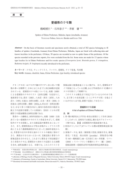 愛媛県のクモ類 - 愛媛県総合科学博物館