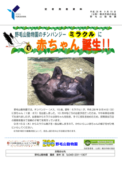 【記者発表】チンパンジーのミラクルに赤ちゃん誕生！！