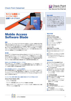 Mobile Access Software Blade
