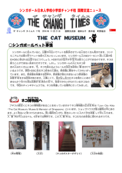 ネコ博物館 へ シンガポールペット事情
