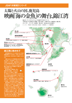 映画「海の金魚」の舞台、錦江湾