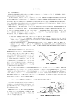 2.3 フィルダム 2.3.1 設計床掘線の決定 堤体遮水部の基礎地盤部分の
