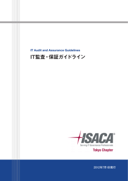 IT監査・保証ガイドライン