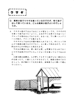 Q 飼育小屋でウサギを飼っているのですか、 時々逃げ