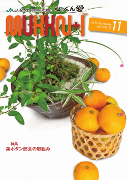 2015年11月号