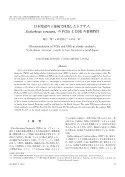 Scyliorhinus torazame，の PCBsと DDEの蓄積特性