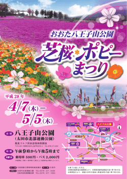 おおた八王子山公園
