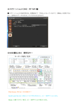 スクリーンショット（SS） FF XIV 編 SSを撮るときに 便利なキー