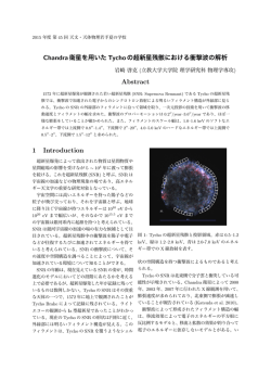 Chandra衛星を用いた Tychoの超新星残骸