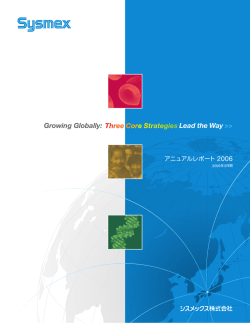 2006年3月期（2005年度）