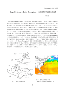 Cape Hatteras と Point Conception： 北米東西岸の海洋生物地理