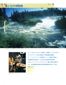 水鳥と博物館 - Travel Manitoba