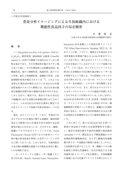 質量分析イメージングによる生体組織内における 機能性食品因子の局在
