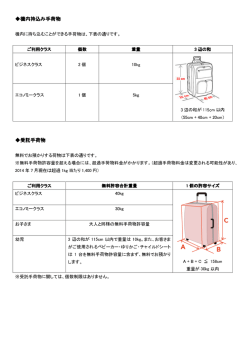 機内持込み手荷物 受託手荷物