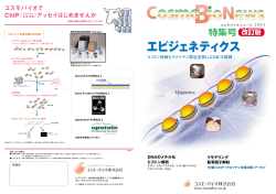 PDFダウンロード