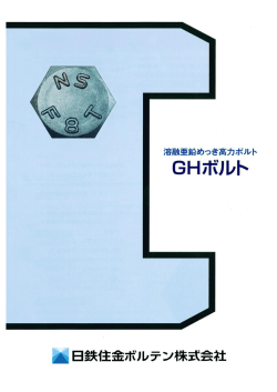 溶融亜鉛めっき高力ボルトカタログ へのリンク