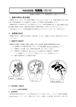 1、 腫瘍の原因と発生頻度 2、 脳腫瘍の症状 疾患別説明書：脳腫瘍（BT