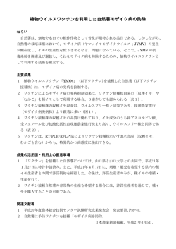 植物ウイルスワクチンを利用した自然薯モザイク病の防除