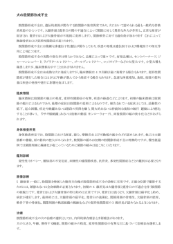 犬の股関節形成不全