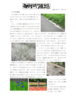 第40回 2012年6月 「ヤナギの綿毛」