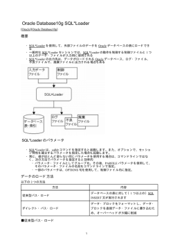 Oracle Database10g SQL*Loader